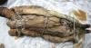 В Китае археологи нашли пельмени возрастом около 1,7 тысячи лет 12.02.2016